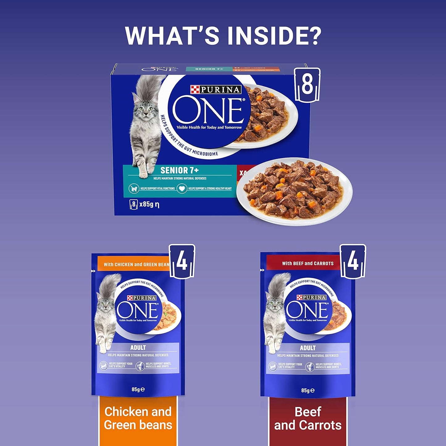 PURINA ONE wet cat food for Kitten Adult Senior Cats