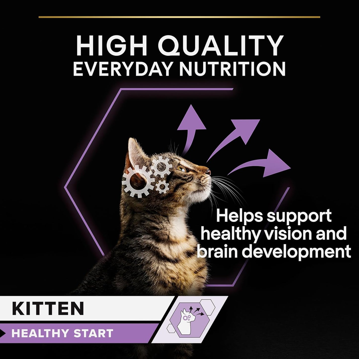 Purina Pro Plan Kitten Healthy Start — Kitten Dry Food | Chicken, Turkey, Duck, Ocean Fish, Delicate Digestion