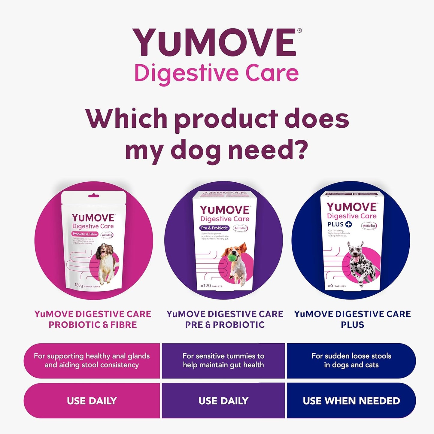 YuMOVE Digestive Care PLUS, Dogs & Cats Pre and Probiotics Supplement for Gut Health, Digestive Support Veterinary Strength with Fast-acting Ingredients, All Ages and Breeds, 60 Sachets