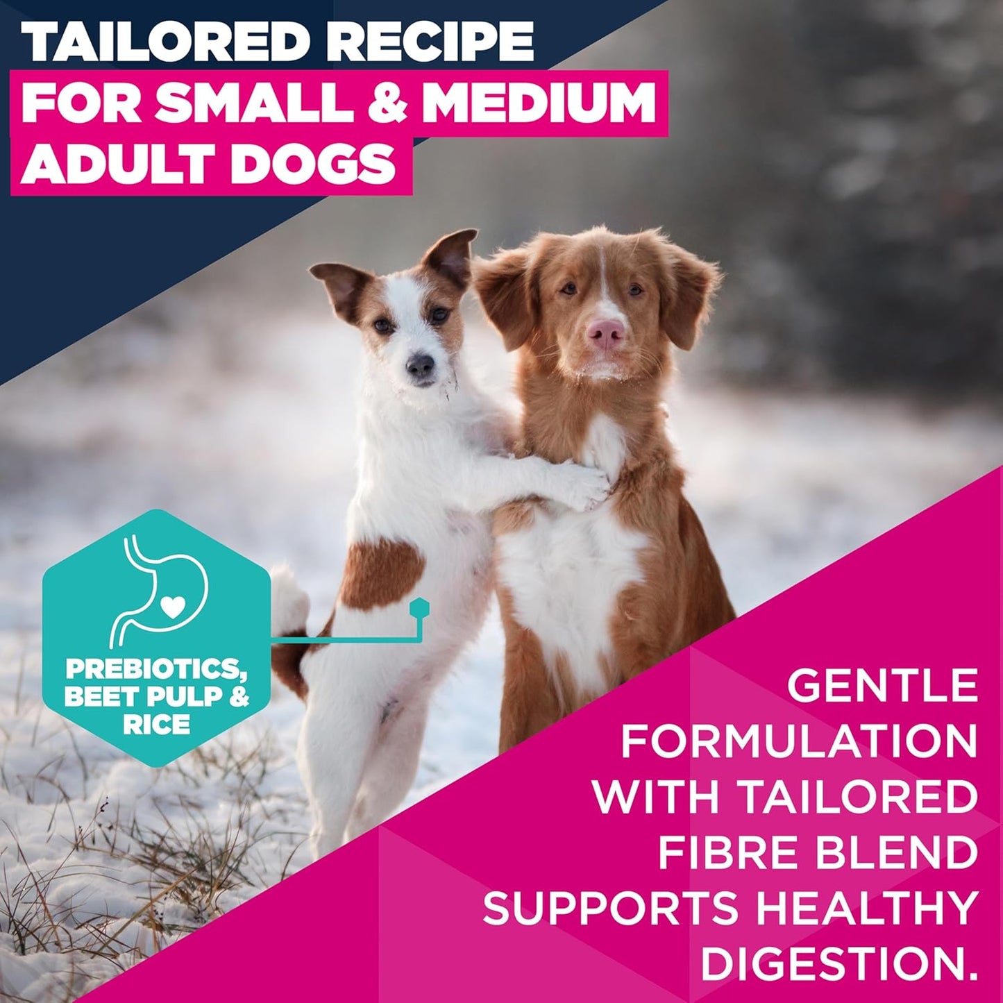 Eukanuba Lamb & Rice - Complete Dry Dog Food - For Adult Small & Medium Breed Dogs 3KG
