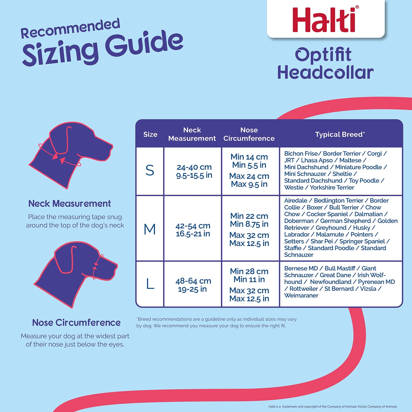 HALTI Optifit Headcollar - To Stop Your Dog Pulling on the Leash. Adjustable, Reflective and Lightweight, with Padded Nose Band. Dog Training Anti-Pull Collar for Small Dogs (Size Small)
