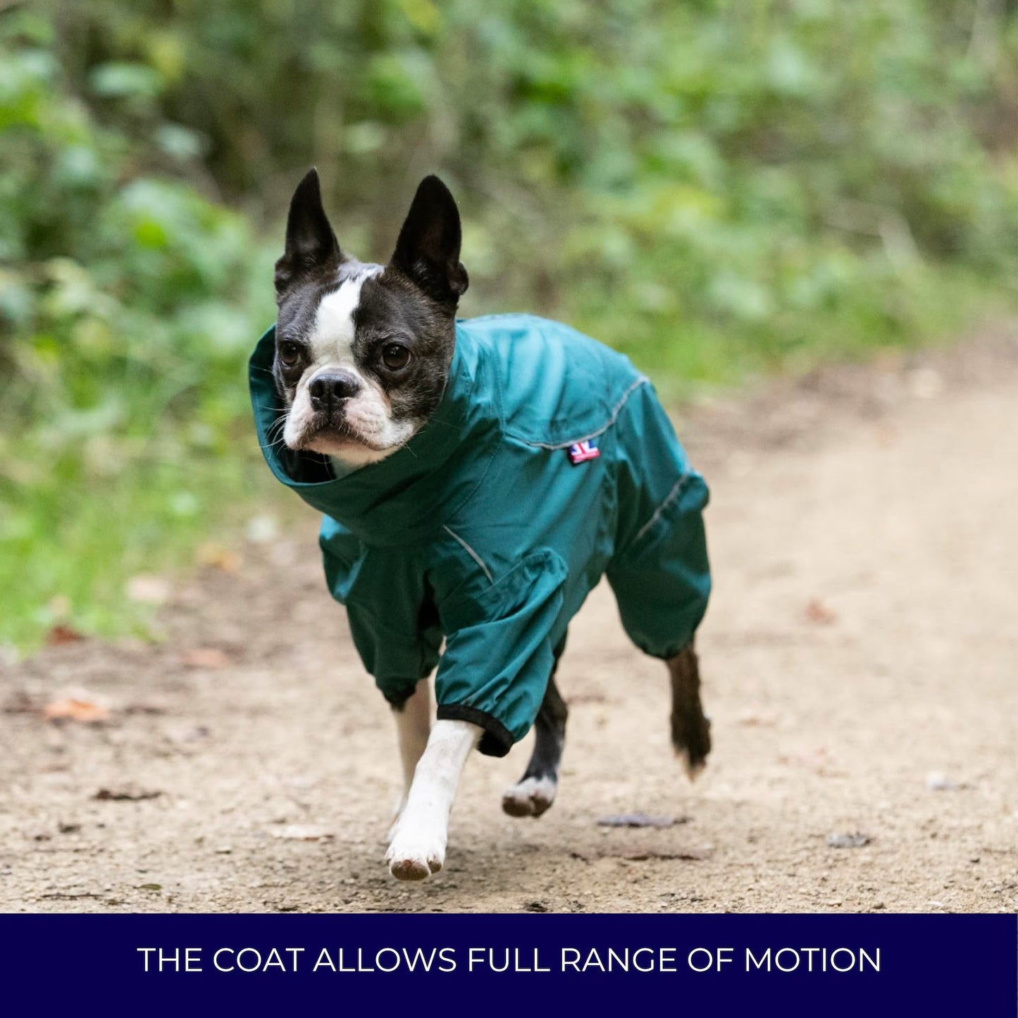 HUGO & HUDSON Dog Reflective Jacket Protective Overalls - Warm Outdoor Winter Windproof Dog Coat Vest for Small, Medium, Large & XL Dogs - Teal - S35