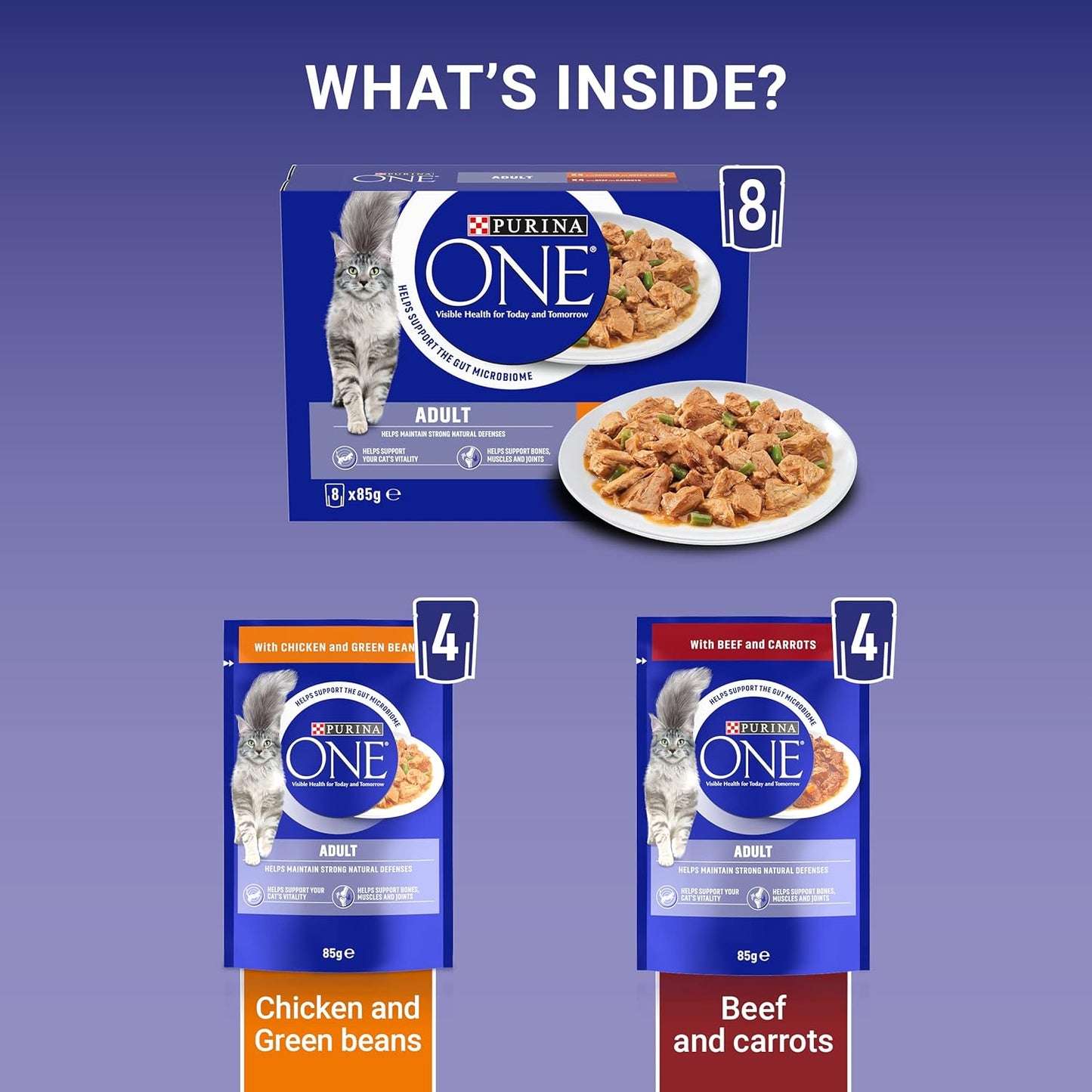 PURINA ONE wet cat food for Kitten Adult Senior Cats