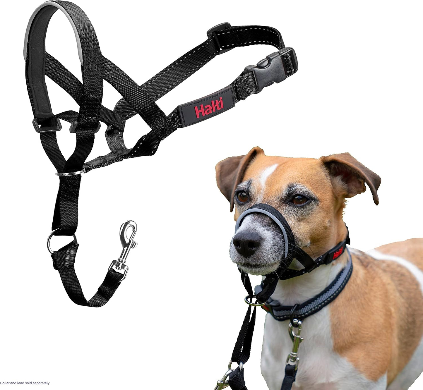HALTI Headcollar UK Bestselling Dog Head Harness to Stop Pulling on the Lead, Easy to Use, Padded Nose Band, Adjustable & Reflective, Professional Anti-Pull Training Aid for Large Dogs