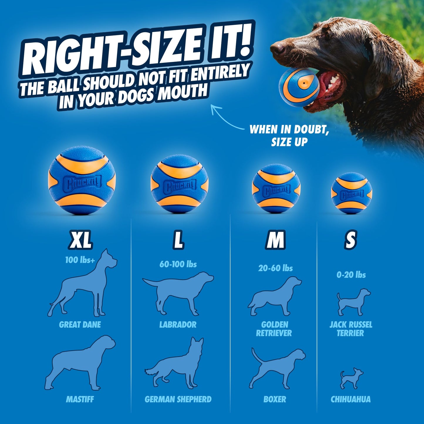 Chuckit Ultra Squeaker Dog Ball - Extra Large Bouncy and Squeaky Pet Toy for Dogs 100+ lbs - Floats on Water - Durable Rubber - Size XL - 3.5" Diameter - Pack of 1