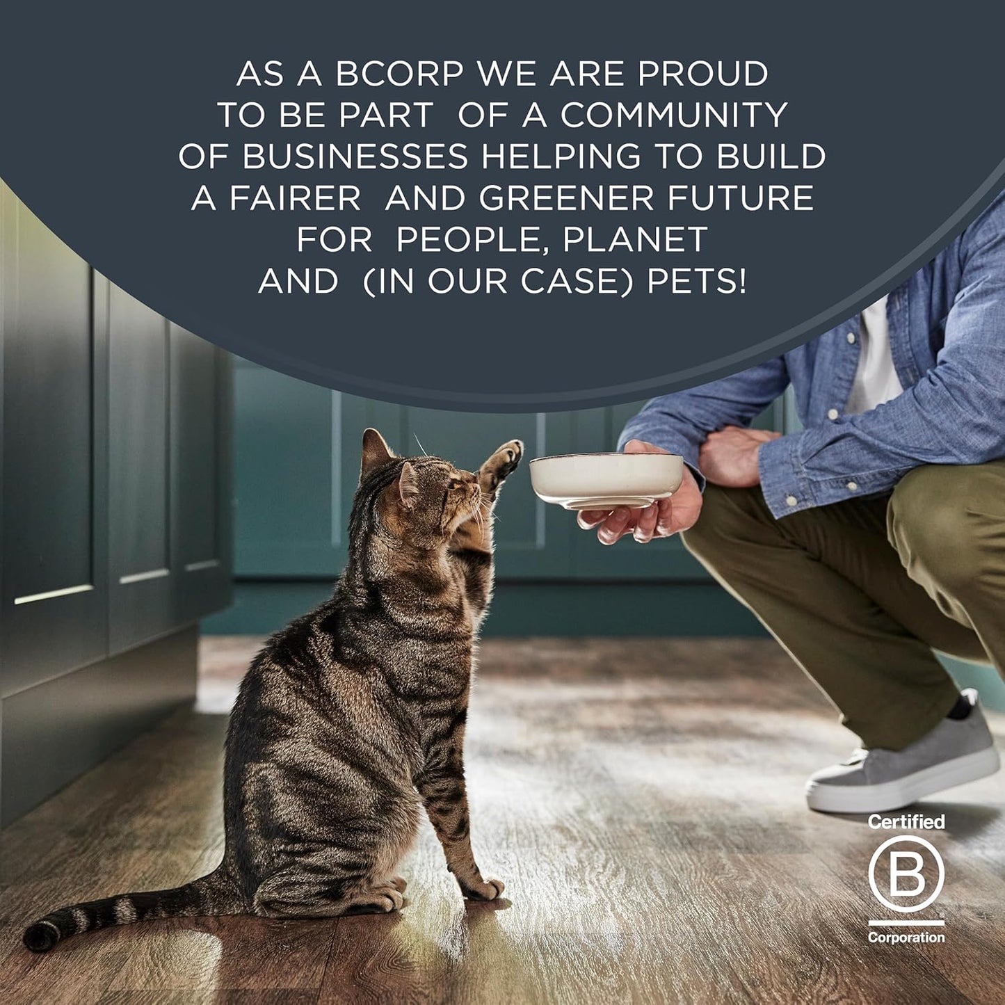 Encore 100% Natural Wet Adult Cat Food