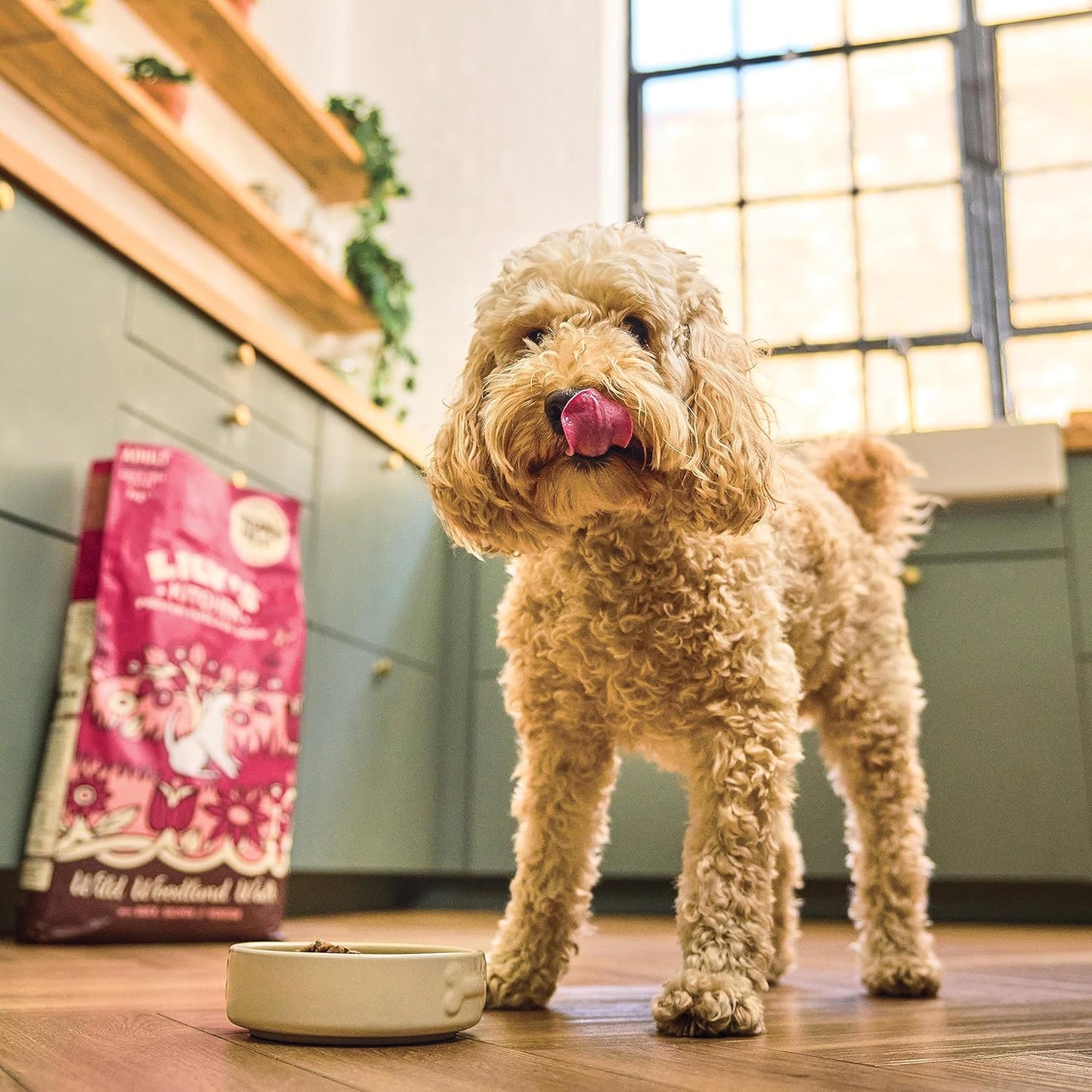 Lily's Kitchen Natural Adult Dry Dog Food