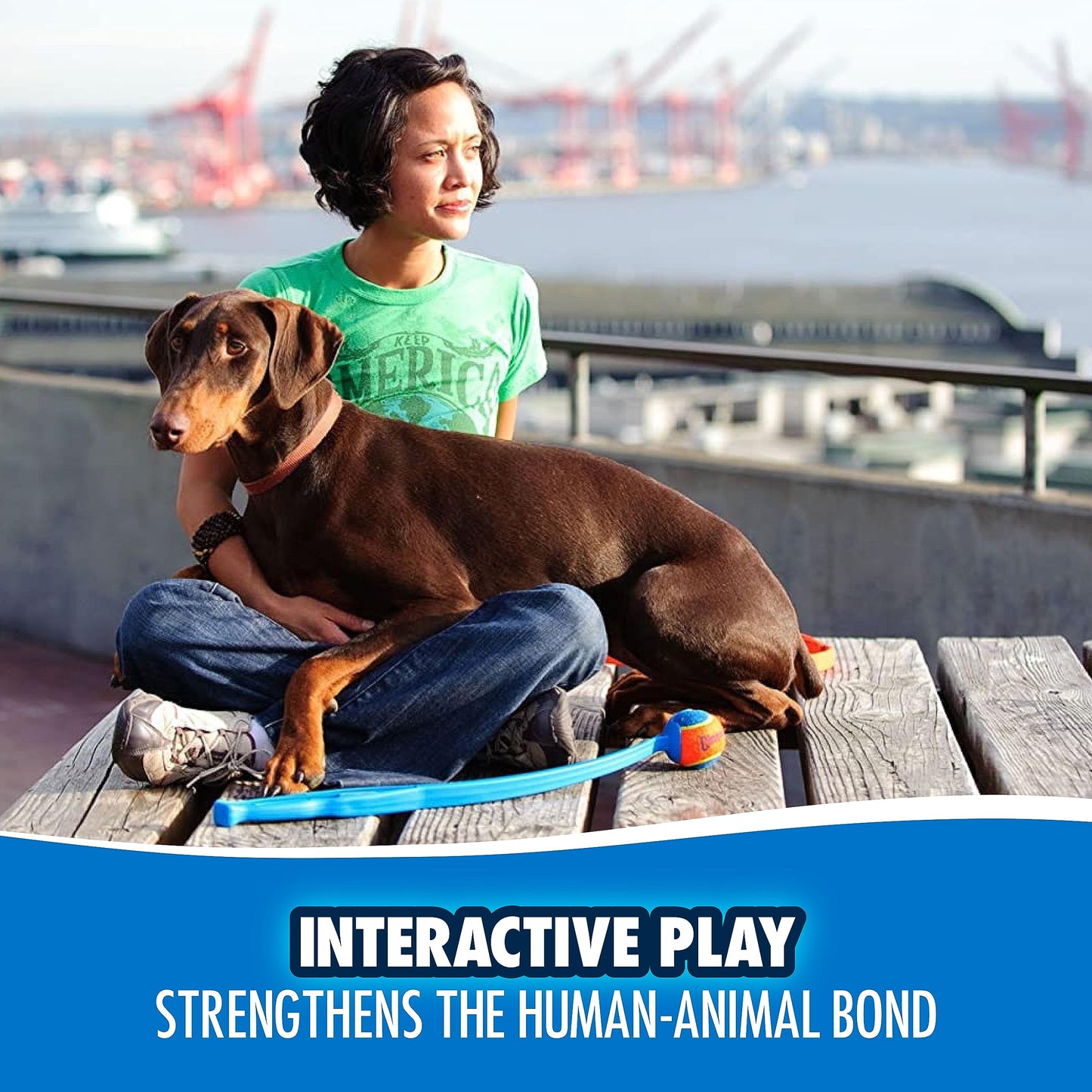 Chuckit! Fetch & Fold 25M Dog Ball Launcher, 25" Length, Includes Medium Ball (2.5") For Dogs 20-60 Pounds