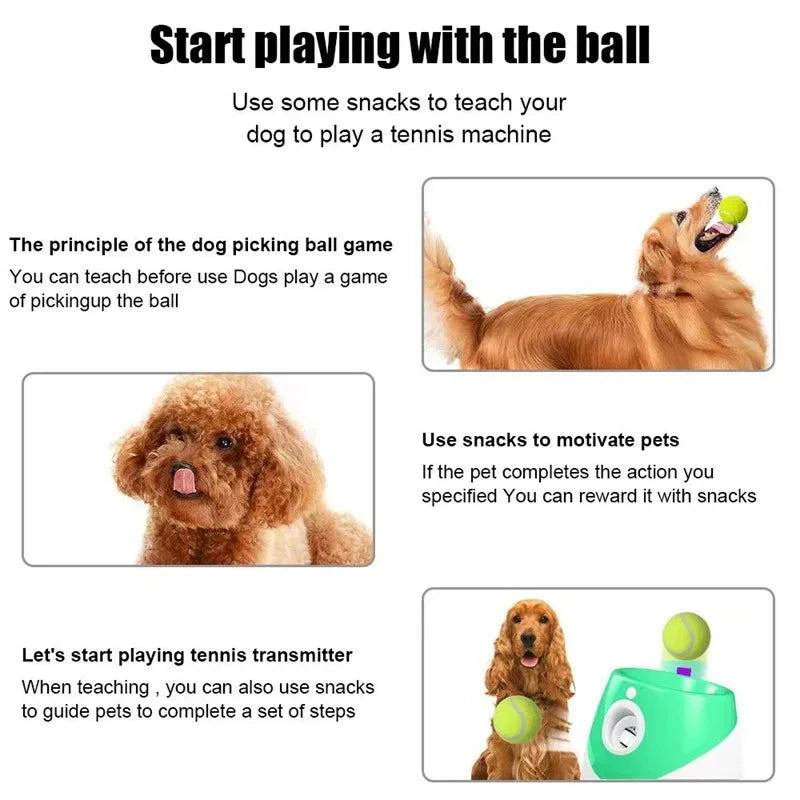 Automatic Pet Dogs Chase Fun Interactive Throw Catapult Dog Tennis Automatic Launcher Dogs Ball Catapult Pet Interactive