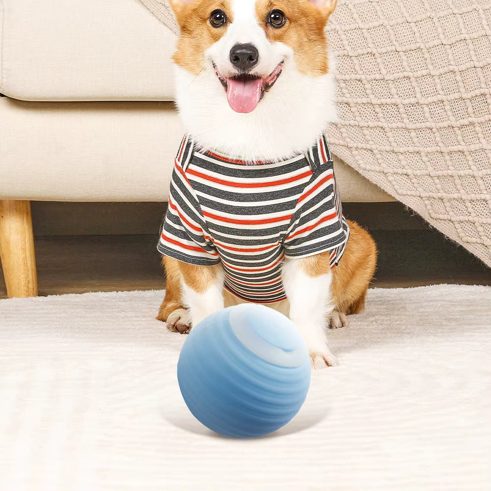 Auto-Rolling Pet Toy Ball - Smart LED Entertaiment for Cats & Dogs
