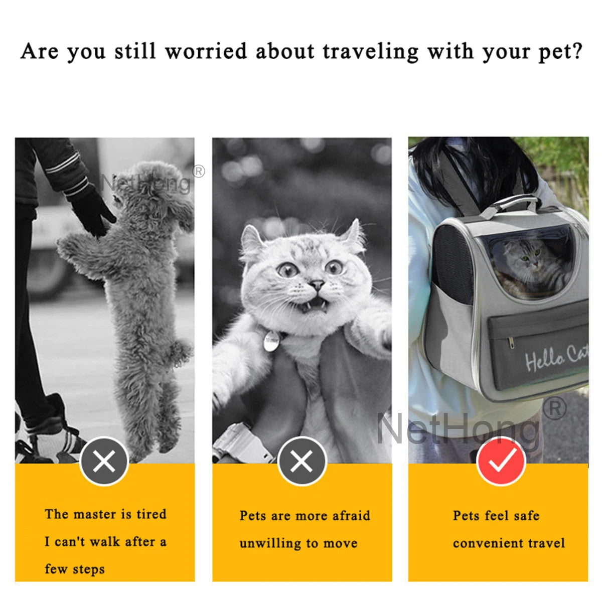 Fashionable Breathable Portable Cat Bag Double Shoulder Square Pet Backpack Foldable Outdoor Travel Pet Carrier Home Goods