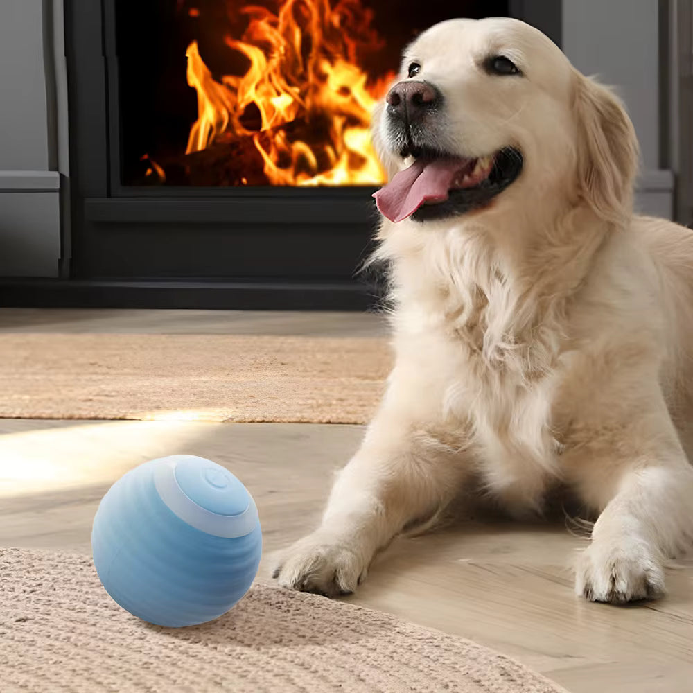 Auto-Rolling Pet Toy Ball - Smart LED Entertaiment for Cats & Dogs