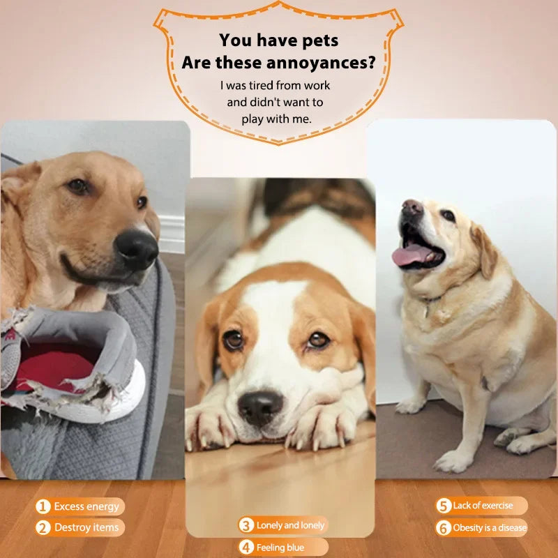 Automatic Pet Dogs Chase Fun Interactive Throw Catapult Dog Tennis Automatic Launcher Dogs Ball Catapult Pet Interactive