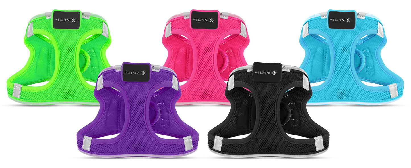 Light Up Dog Harness – Rechargeable LED Glow Harness for Small & Medium Dogs, Waterproof & Reflective for Night Walking